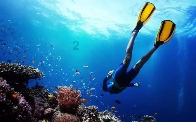 加入阜阳市生物实验显微镜观察洋葱表面细胞中起气泡会扣分吗?知识星球,深度探索专业领域