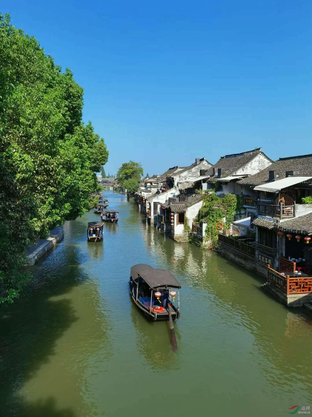 探索知识,尽在蜗牛问答平台醉驾吊销能提前考回吗?