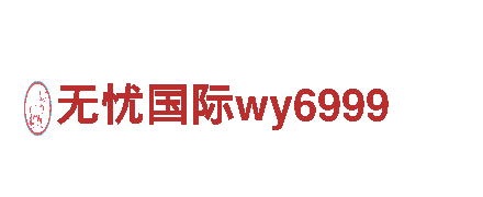 无忧国际wy6999机械