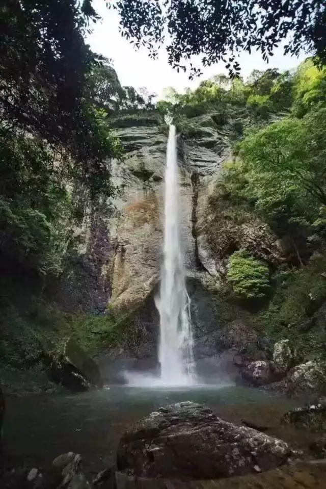 全自动铁粉压块机